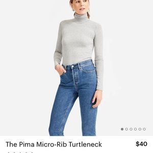 Everlane Pima Turtleneck Top
